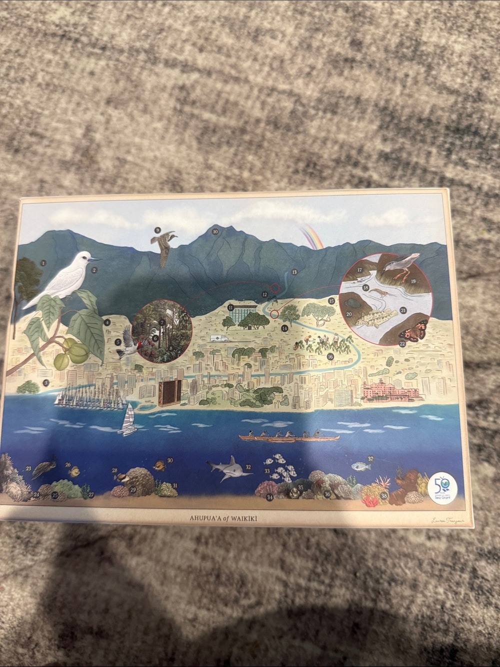 Waikiki Illustrated Puzzle- Blue & Green